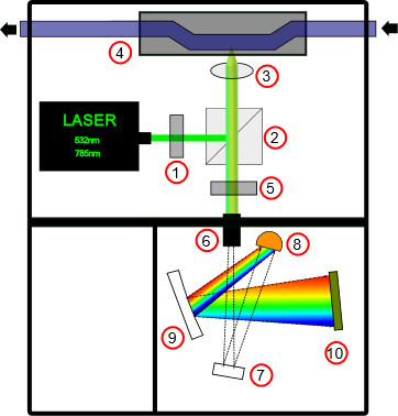 Figure 1. Scematic diagram of proposed Raman spectrometer.